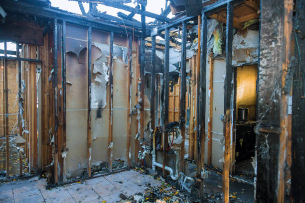 Professional Fire Damage Repair technician working in Edinburg, IL